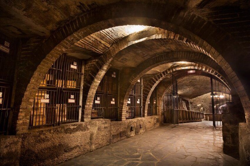 La Rioja two wineries visit with wine tasting and pintxos in small group tour