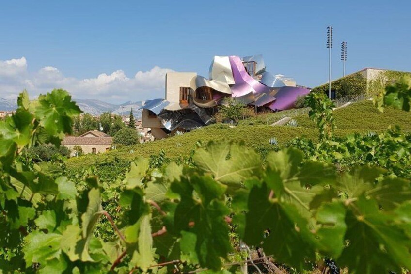 La Rioja two wineries visit with wine tasting and pintxos in small group tour