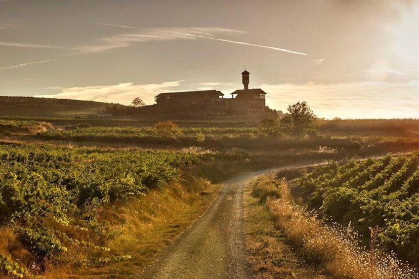 La Rioja two wineries visit with wine tasting and pintxos in small group tour