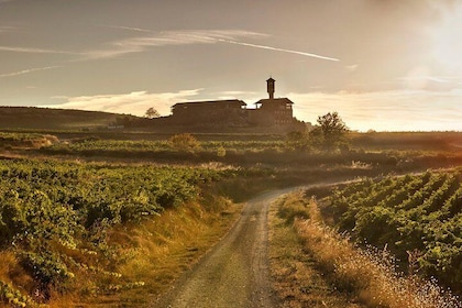 Rioja Wine Tour: 2 Wineries From Vitoria