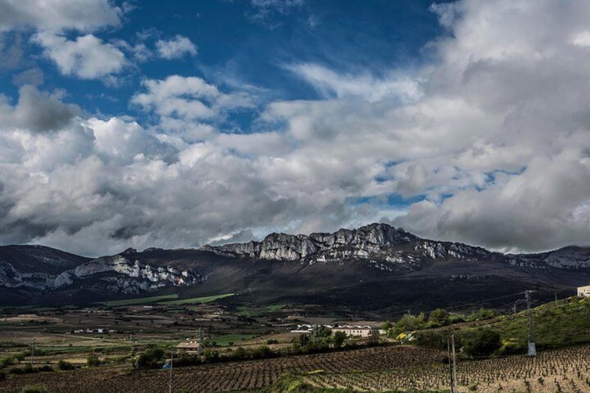 La Rioja two wineries visit with wine tasting and pintxos in small group tour