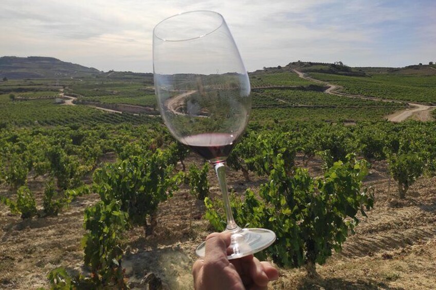 La Rioja two wineries visit with wine tasting and pintxos in small group tour