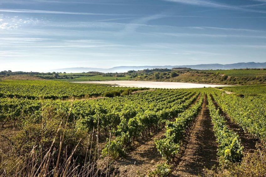 La Rioja Wine Tour with Two Winery Visits with Wine Tasting from Bilbao