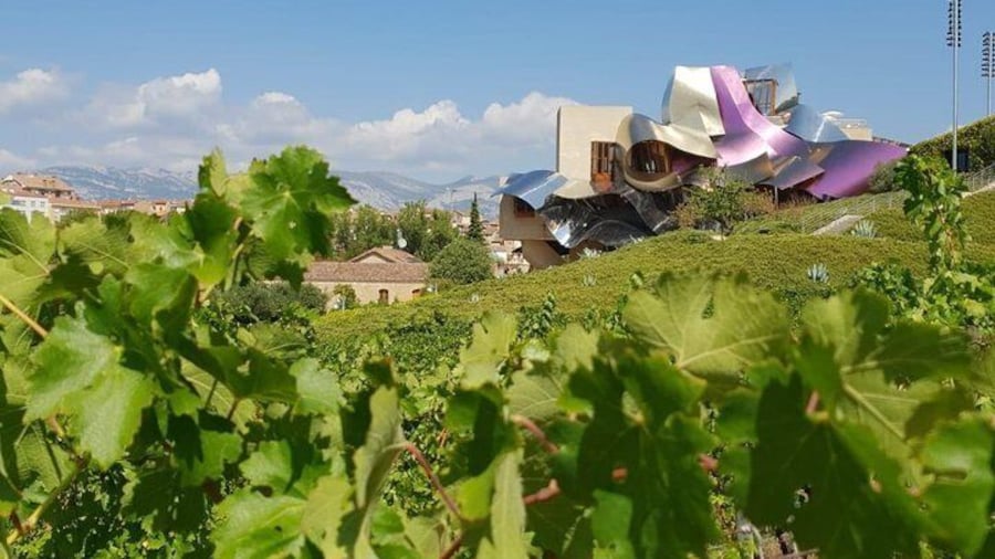 Rioja Wine Tour: 2 Wineries From Bilbao