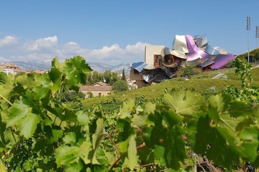 La Rioja Wine Tour with Two Winery Visits with Wine Tasting from Bilbao