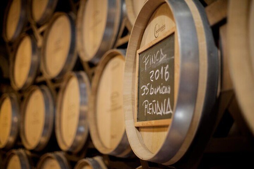 Rioja Wine Tour: 2 Wineries From Bilbao