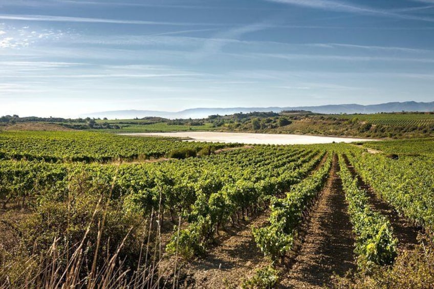 La Rioja winery visit with tasting and traditional lunch in small group tour