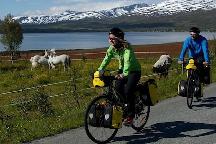Touring-Trekking Bicycle Rental in Tromso - 1 to 8 Days