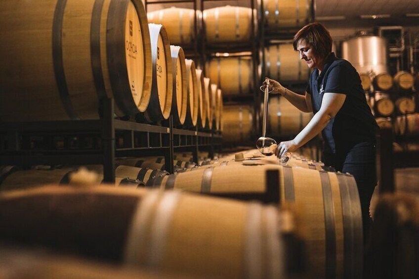 Rioja Wine Tour: Winery & Traditional Lunch From Bilbao