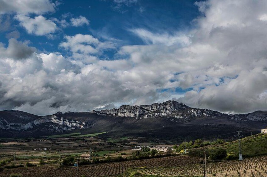 La Rioja winery visit with tasting and traditional lunch in small group tour