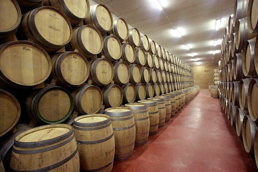 Rioja Wine Tour: Winery & Traditional Lunch From Bilbao