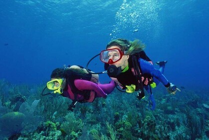 Scuba Diving Tour From Alanya - Side - Antalya