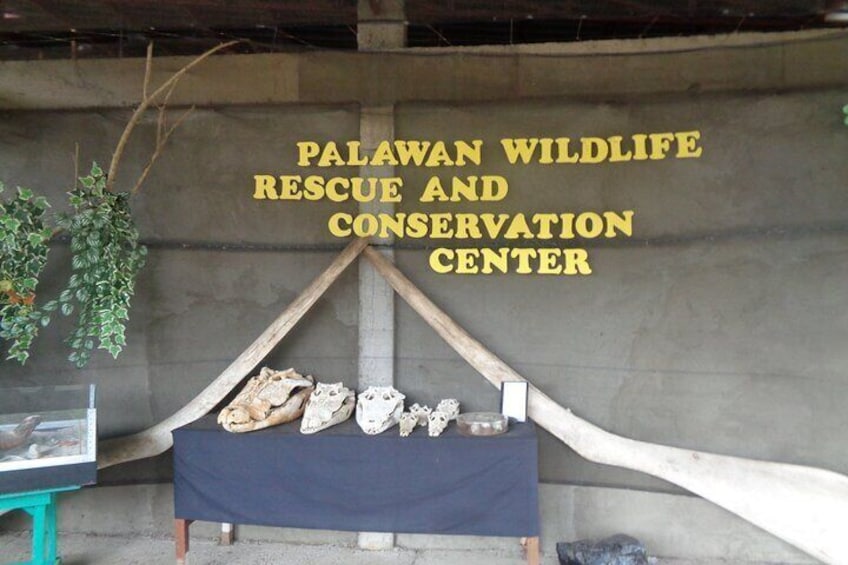 Palawan wildlife rescue and conservation center