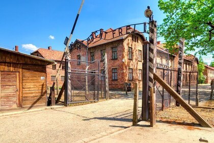 Auschwitz-Birkenau Camp Full-Day Guided Tour from Krakow