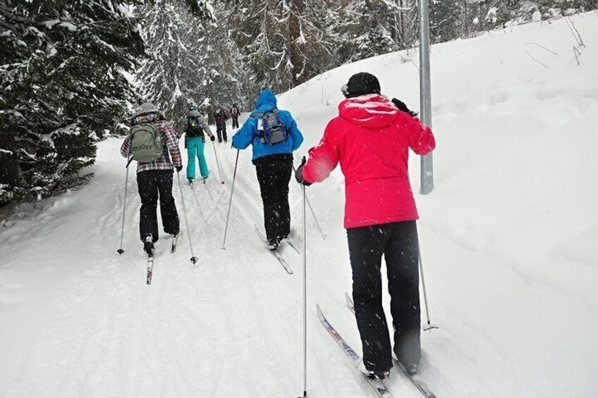 Cross Country Skiing around Strbske Pleso: High Tatras