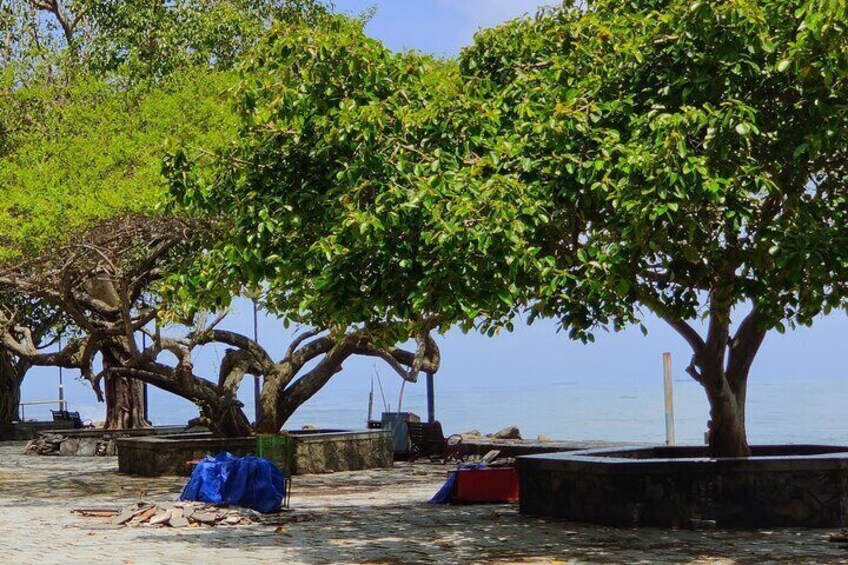 Walking Tour Of Fortkochi & Local Lunch