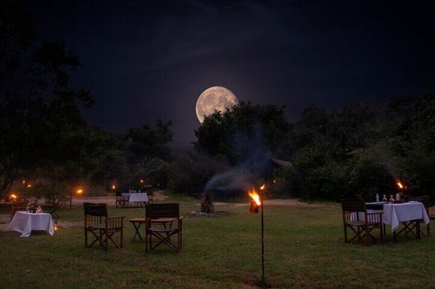 Magical Dinner Setting under the stars around a campfire 