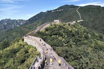 Private Tour:3-Day of Beijing from Shanghai Round-Trip by Air