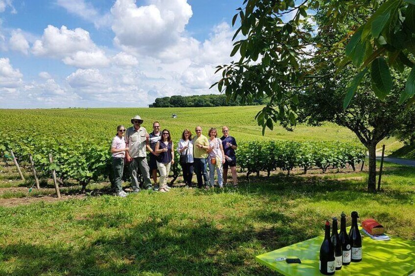 Loire Valley Day from Amboise : Azay le Rideau, Villandry, Winery