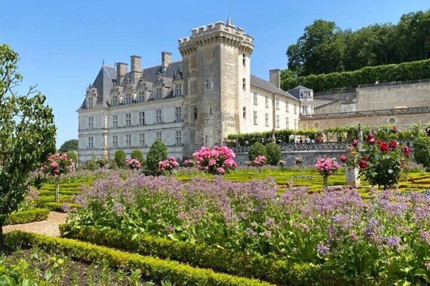 Loire Valley Day from Amboise : Azay le Rideau, Villandry, Winery