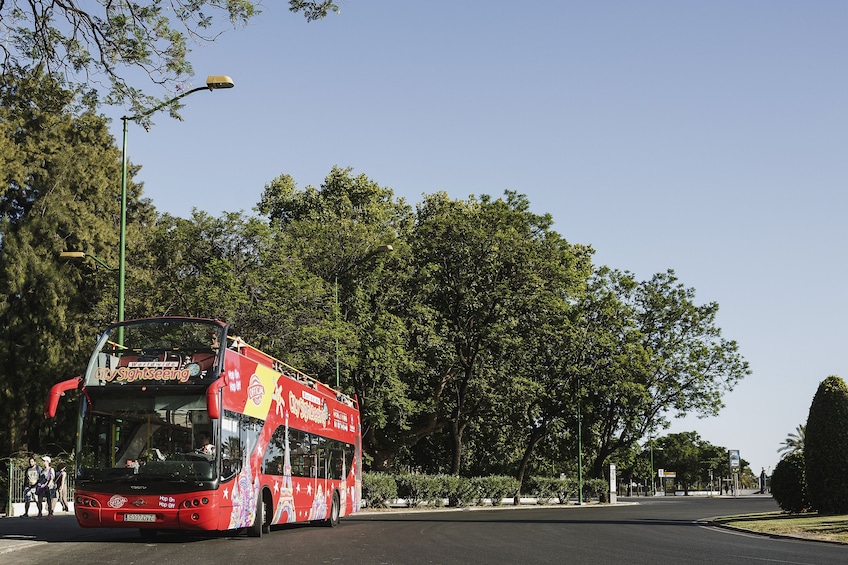 Malaga Experience Cards + Hop-On Hop-Off Bus Tour