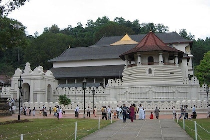 2 Day Kandy Sightseeing Private Tour with unique attractions - All-inclusiv...