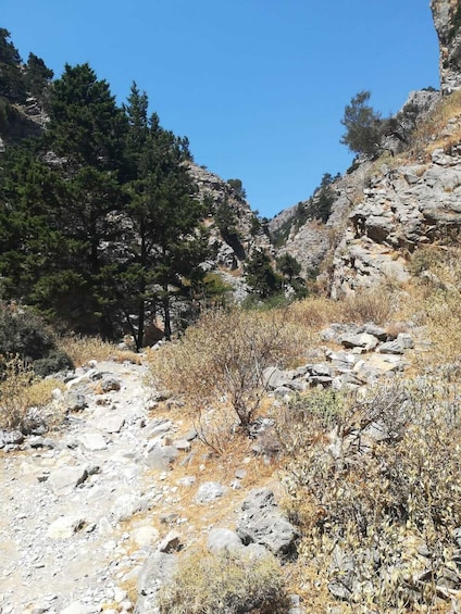 Imbros Gorge Walking Tour