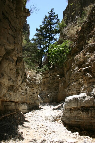 Imbros Gorge Walking Tour