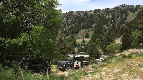 Jeepsafari durch die Weißen Berge mit Mittagessen