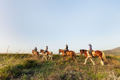 Promenade à cheval dans la montagne Finikia et déjeuner au départ d'Hérakli...