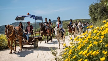 Horseback Riding at Finikia Mountain & Lunch from Heraklion