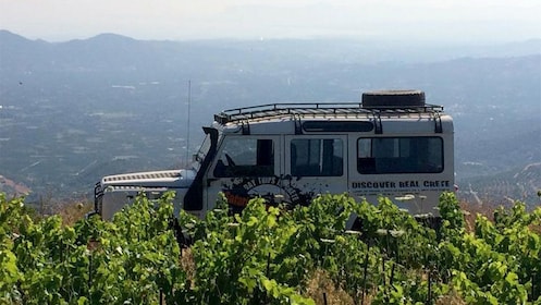 Visite d'une journée complète des secrets du vin et des olives