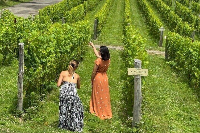 Hudson Valley Wine Country Tour w/ Wine & Food Tasting from NYC