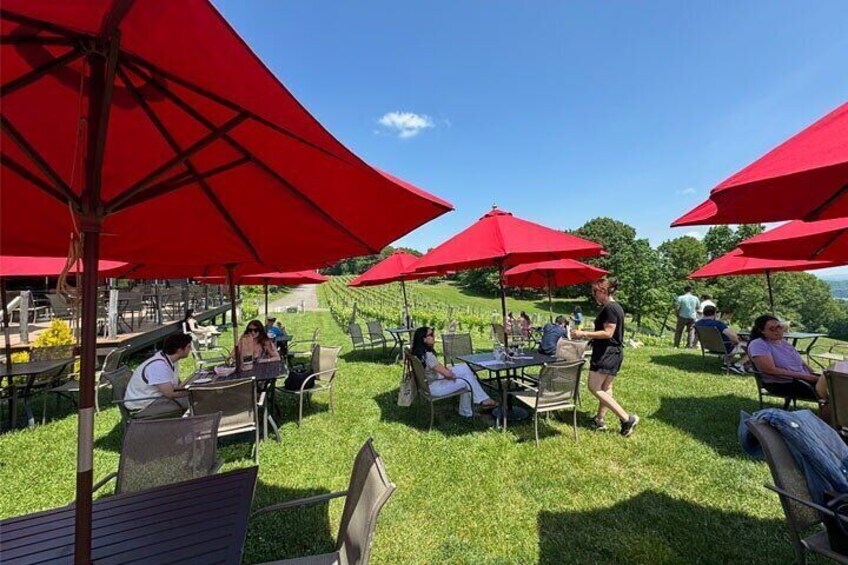 Hudson Valley Wine Country Tour w/ Wine & Food Tasting from NYC