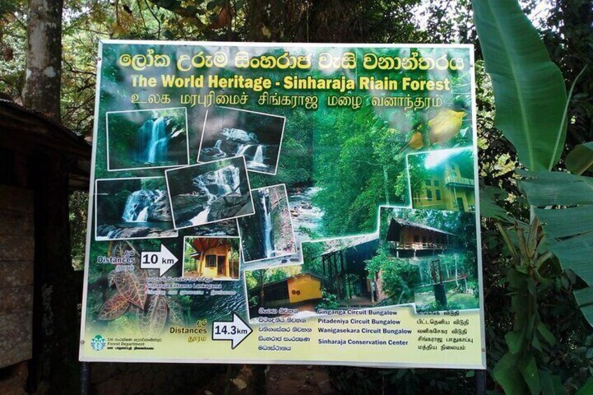 Sinharaja Rainforest & Udawalawe Safari, 2 Days All Inclusive