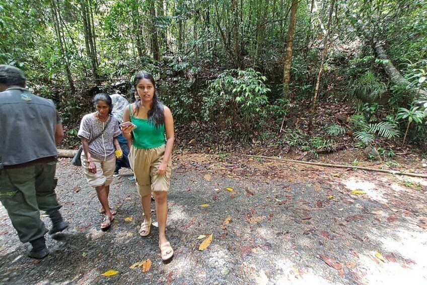 Kanneliya Rain Forest Tour