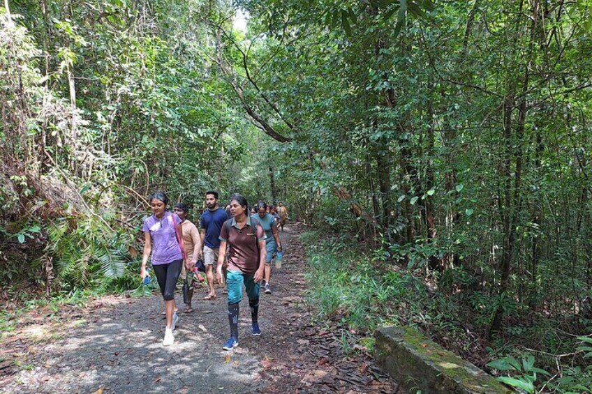 Kanneliya Rain Forest Tour