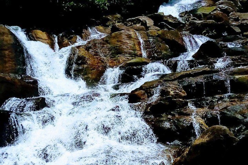 Kanneliya Rainforest water Fall