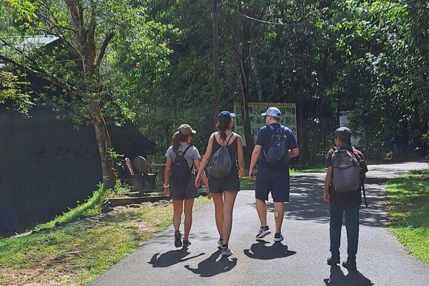 Kanneliya rainforest hiking 