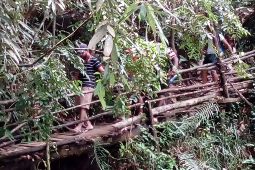 Kanneliya Rainforest