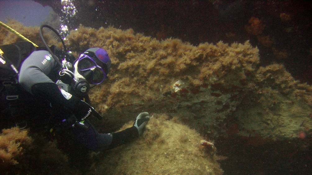 Scuba diver under water in Heraklion 