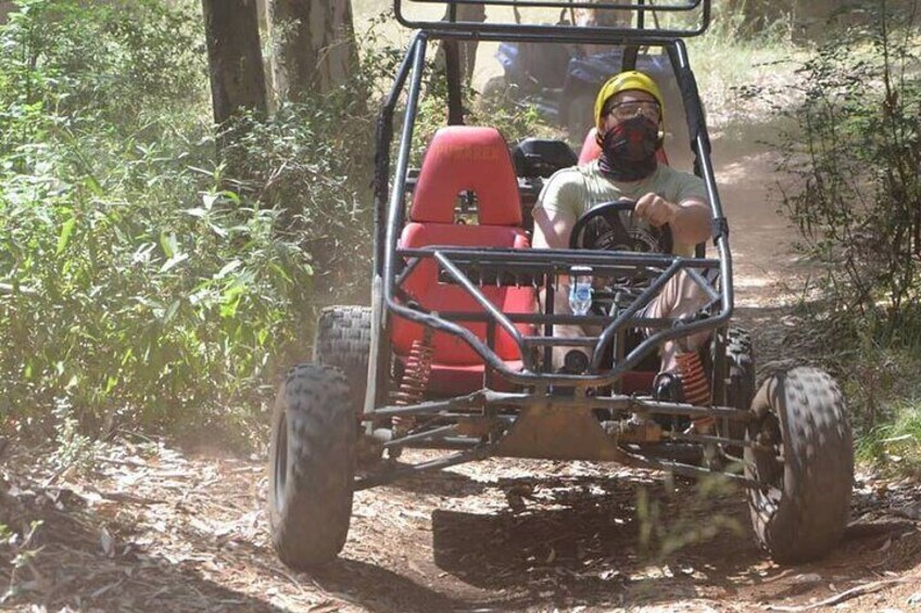 buggy of road..