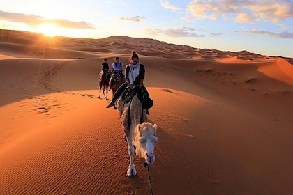 Merzouga Sahara Desert 3 Days Tour From Agadir.