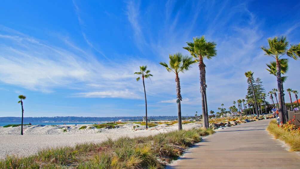 Boardwalk on beach in San Diego California