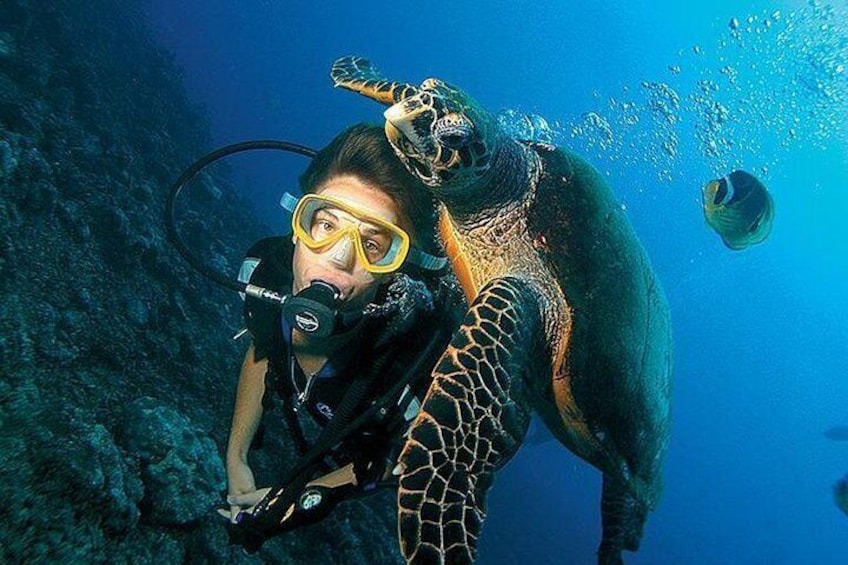 scuba diving by u can travel