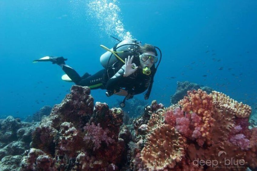 scuba diving by antalya 