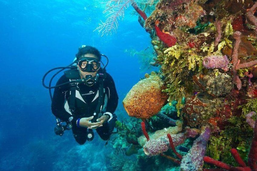 Scuba Diving full of adrenaline in Antalya