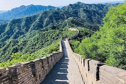 Private Mutianyu Great Wall Tour with Bullet Train Experience
