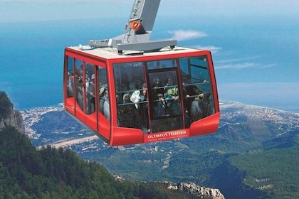 Cable Car elevation 2365 meters.