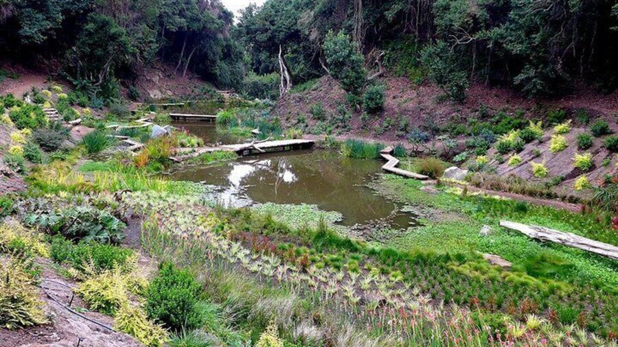 Tour to Parque Tricao + Aviario and Pomaire full day from Santiago